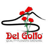 Del Golfo Cooperativa