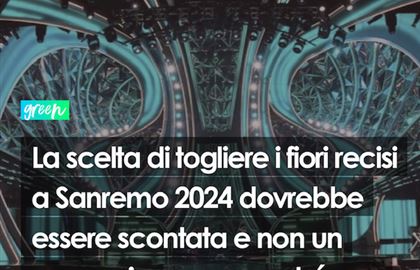 L’insostenibilità dei fiori recisi